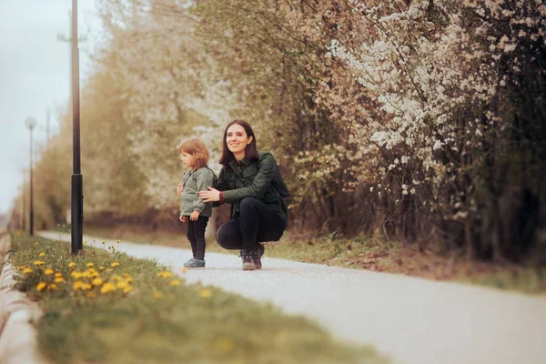 Anya Lánya Együtt Szedik Virágokat Tavaszi Szezonban — Stock Fotó