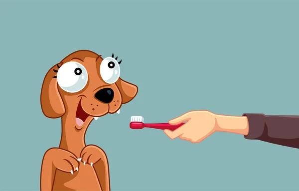 Dono Animais Estimação Segurando Uma Escova Dentes Para Sua Ilustração — Vetor de Stock