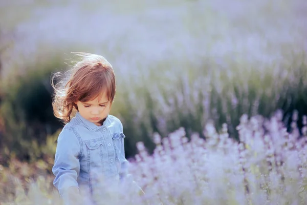 Menina Adorável Criança Campo Lavanda Desfrutando Natureza — Fotografia de Stock