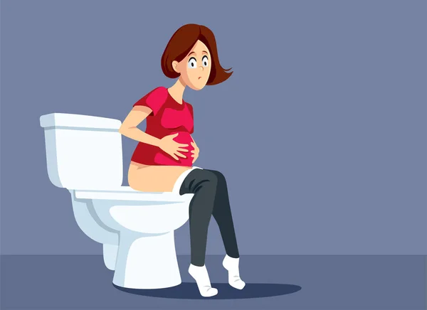 Hamile Kadın Tuvalet Vektörü Çizgi Filminde Oturuyor — Stok Vektör
