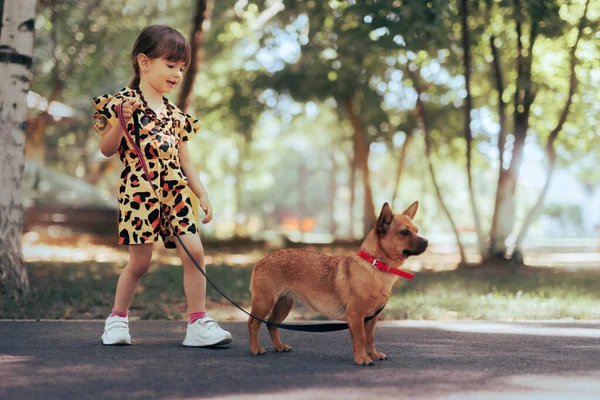 Маленькая Стильная Девочка Выгуливает Свою Милую Симпатичную Собаку — стоковое фото