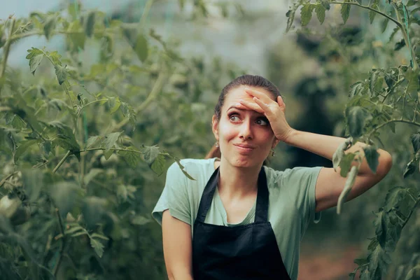 Stressed Gardner Analyzing Home Gown Vegetables Greenhouse — Stockfoto