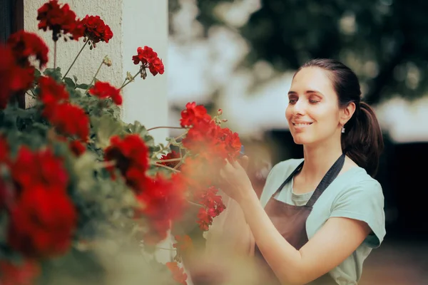 Happy Gardener Watering Beautiful Red Decorative Flowers — Stockfoto