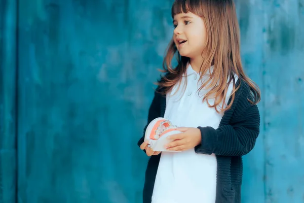 Niña Pequeña Sosteniendo Modelo Dientes Ortodoncia Dental Con Aparatos Ortopédicos — Foto de Stock