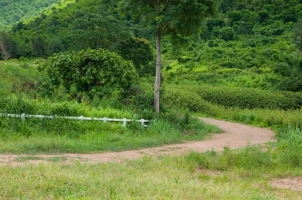 Country Roads — Stock Photo, Image