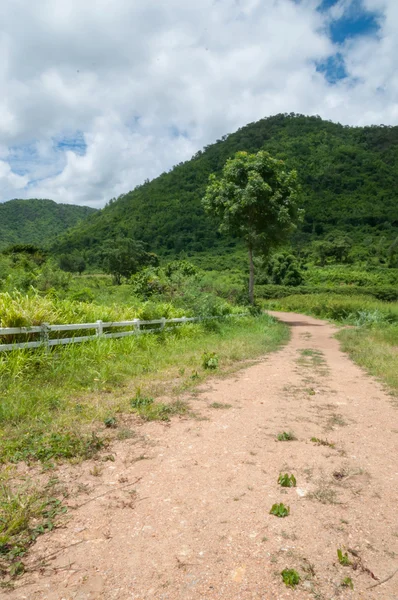 Country Roads — Stock Photo, Image