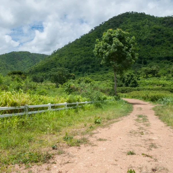 Country Roads — Stock Photo, Image