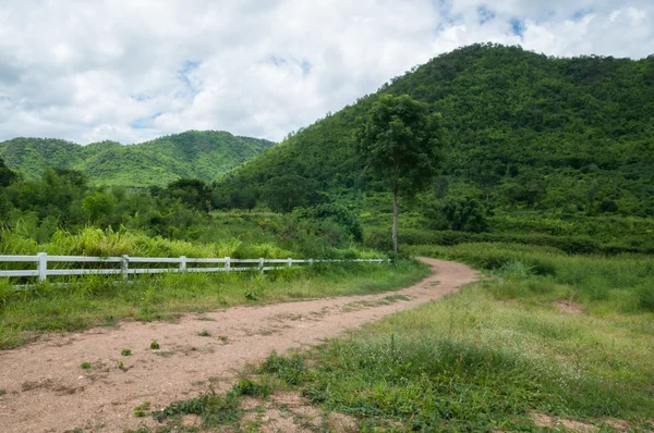 Country Roads — Stock Photo, Image