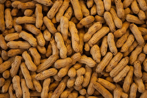 Peanut — Stock Photo, Image