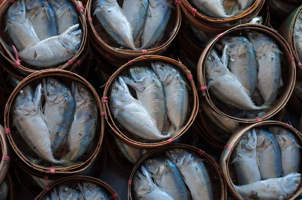 Mackerel basket — Stock Photo, Image