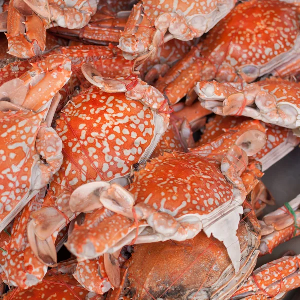 焼き蟹 — ストック写真