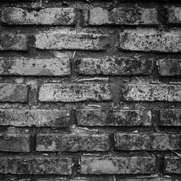 Brick wall — Stock Photo, Image