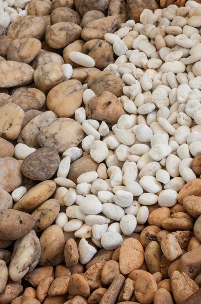 Piedras en el jardín — Foto de Stock