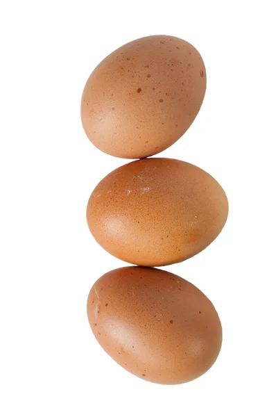Les trois œufs — Photo