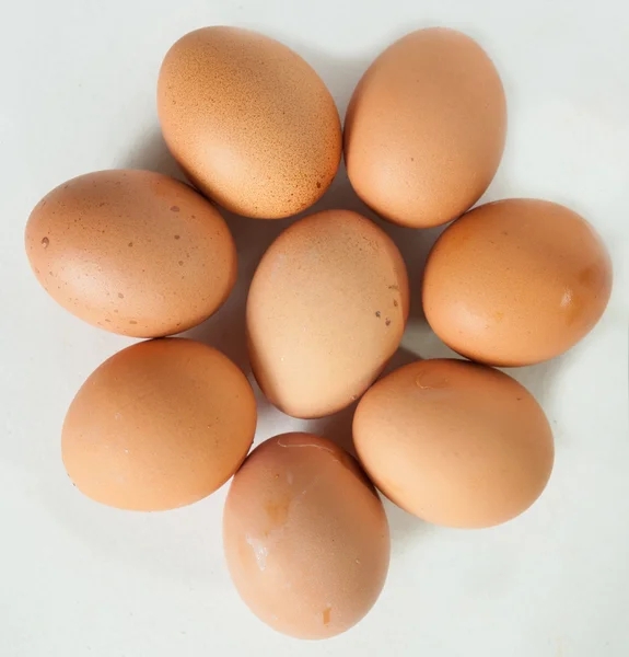 Les huit œufs — Photo