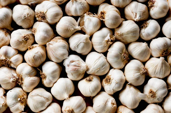 Garlic cloves — Stock Photo, Image