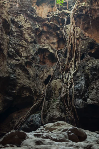 Caverna na Tailândia — Fotografia de Stock