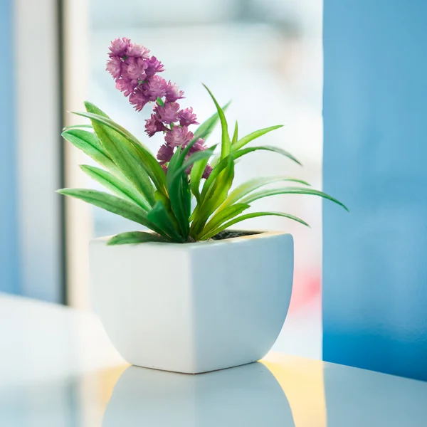 Mini flowers — Stock Photo, Image