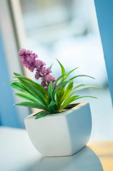 Mini flowers — Stock Photo, Image