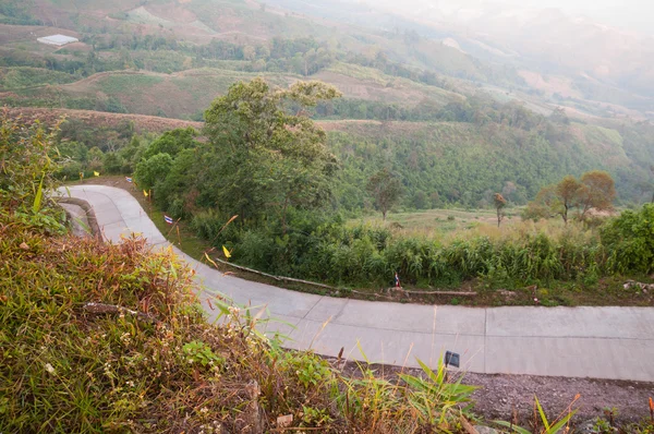 Rural road — Stock Photo, Image