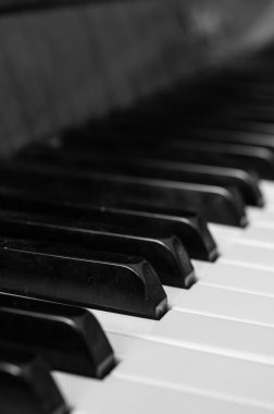 piyano tuşları