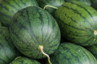 Karpuz.