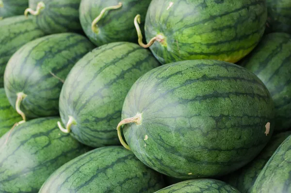 Watermelon — Stock Photo, Image