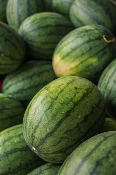 Vattenmelon — Stockfoto