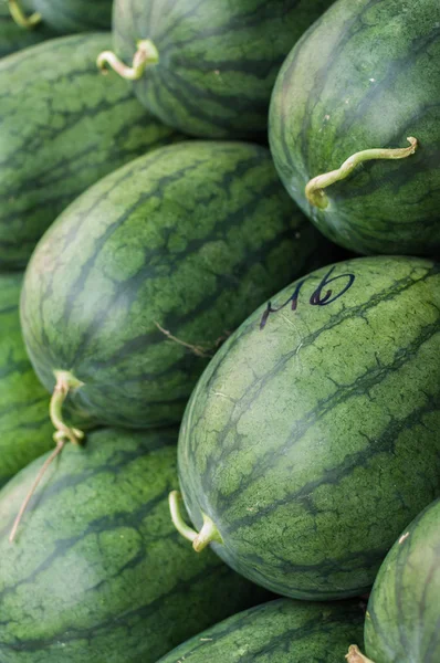 Vattenmelon — Stockfoto