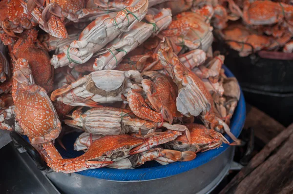 Crabs — Stock Photo, Image