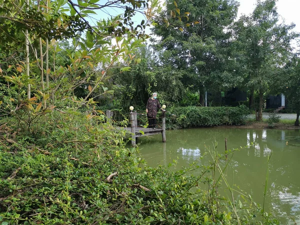 Viejo Asiático Anciano Mujer Senior Pie Madera Muelle Ver Lago — Foto de Stock