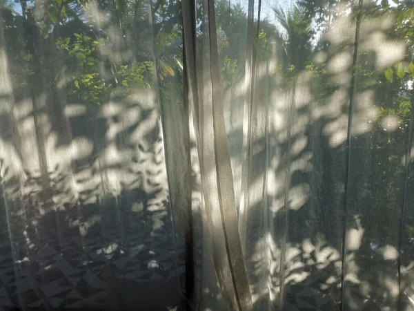 Lumière Soleil Laisse Ombre Sur Rideau Blanc Transparent — Photo