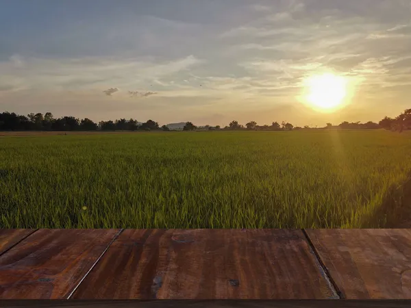 Ηλιοβασίλεμα Στο Χωράφι Ρύζι Θέα Στη Φύση Φωτογραφία Αρχείου
