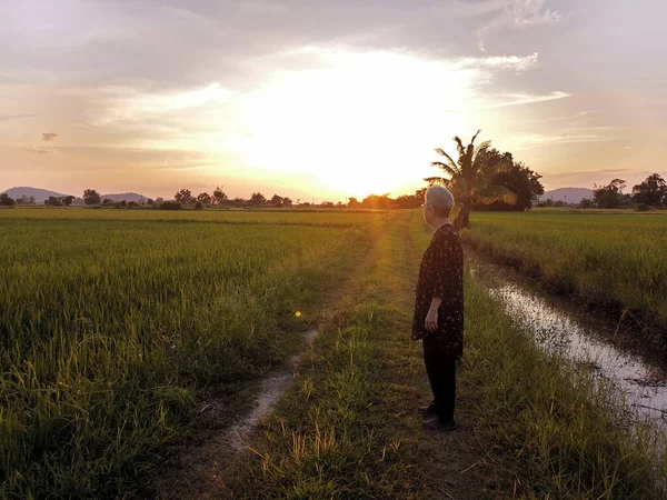 黄昏时分 亚洲老年老年妇女在稻田里散步 老年人休闲生活方式 — 图库照片