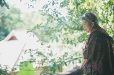 Asyalı yaşlı yaşlı kadın yaşlı kadın bahçede dinleniyor. son sınıf eğlence yaşam tarzı