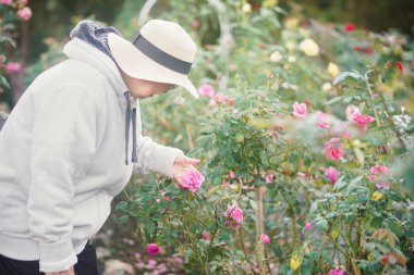 old senior woman relaxing in rose flower garden