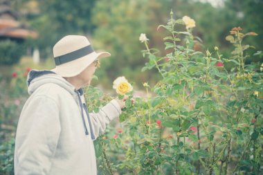 old senior woman relaxing in rose flower garden