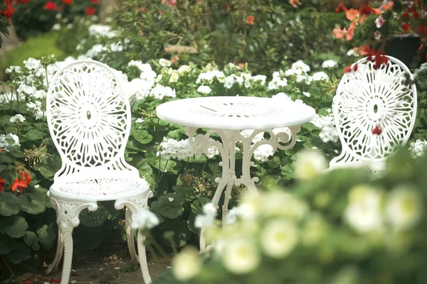 Fiore Geranio Bianco Fiore Nel Parco Botanico — Foto Stock