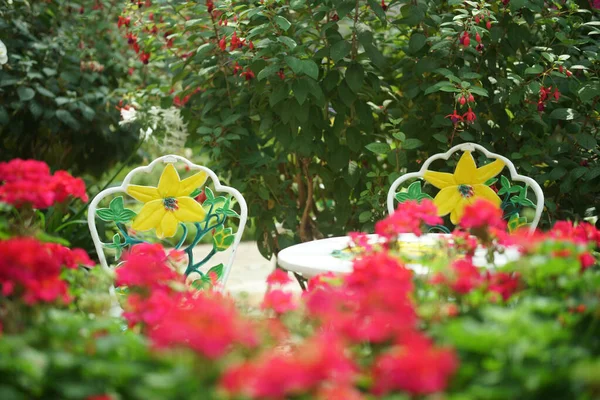 Silla Asiento Metal Jardín Flores Parque Primavera Verano — Foto de Stock