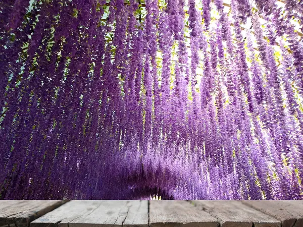 Расплывчатый Фиолетовый Цветочный Туннель Деревянным Столом Экспонатов — стоковое фото
