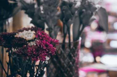 Vazoda çiçek açan kasımpatı çiçeği.