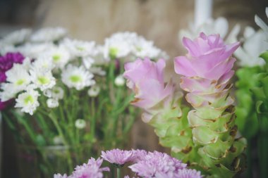 Çiçek açan siam lale kasımpatı vazoda süsleme