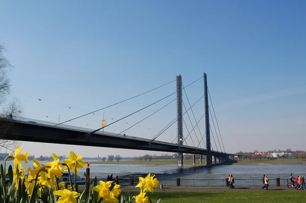 Dusseldorf, Germany — Stock Photo, Image