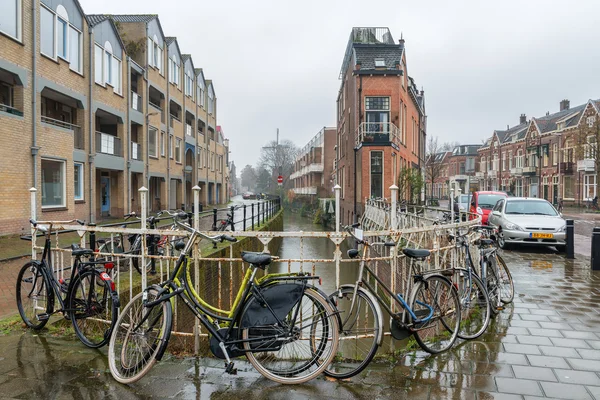 Rainy day in Netherlands — Stock Photo, Image