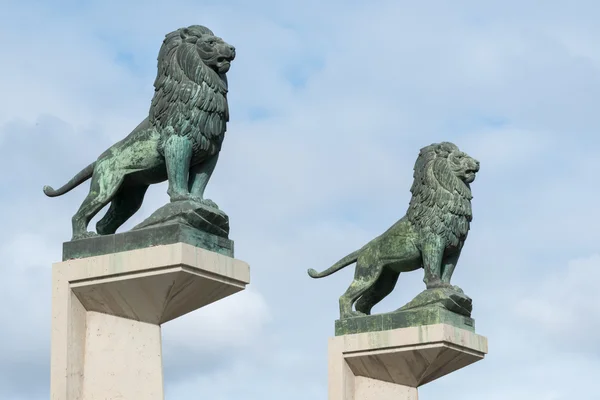 Lions on a bridge in Zaragoza Spain — Stock Photo, Image