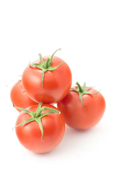 Frische Tomaten — Stockfoto