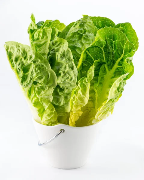 Taze yeşil salata üzerine beyaz izole — Stok fotoğraf
