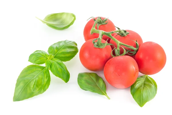Tomaten- und Basilikumblatt isoliert auf weißem Hintergrund — Stockfoto