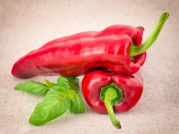 Two red pepper and basil leaves — Stock Photo, Image