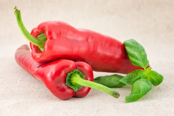 Two red pepper and basil leaves — Stock Photo, Image